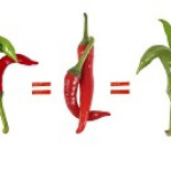 Malasia autorizará personajes homosexuales en sus películas.. pero sólo si "se vuelven" heterosexuales en el final