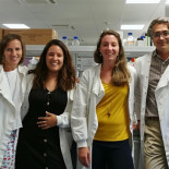 Investigadores españoles desarrollan una nanoterapia que evita el rechazo a los órganos trasplantados