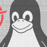 SACK Panic: la vulnerabilidad detectada por Netflix que lleva en Linux más de 10 años