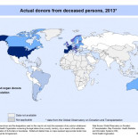 Recopilación de mapas en los que España es Nº1 a nivel mundial
