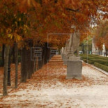 Muere un niño de 4 años tras caerle un árbol encima en el parque del Retiro