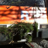 Descarrila un tren entre entre las Franqueses y Centelles tras chocar contra un árbol tumbado por el viento [CAT]