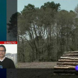 Hallan dos zulos de ETA en Francia con explosivo, armas y material para bombas