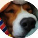 A @dunachio solo le escriben privados para pedirle votos