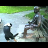 Perro intenta jugar con una estatua creyendo que es una persona