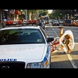 Un tipo es multado por no ir por el carril bici, así que decide ir por este a pesar de los obstaculos