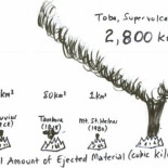 Teoría de la catastrofe de Toba
