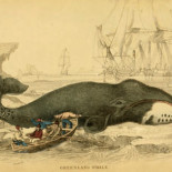 GIFs en color sepia a partir de libros vetustos: ¿te picará el gusanillo de las bibliotecas?