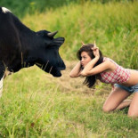"Marry me, darling, for I have cows!"- Ligar en Gallego, una lengua que desaparece [ENG]