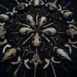 El concepto del Caos