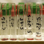 La justicia europea acepta que los homosexuales no puedan donar sangre