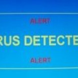 El capado P2P podría generalizarse