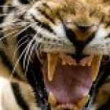 Cariño, tengo que decirte una cosa...