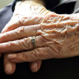 Alzheimer's breakthrough: Scientists may have found potential cause of the disease in the behaviour of immune cells