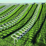 El precio de los paneles solares ha caído un 75% en 36 meses