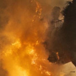 Fiestas populares: todos los animales sufrieron daños durante este rodaje