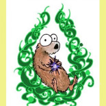 Tres vídeos para entender el Acuerdo Comercial entre EEUU y la Unión Europea (TTIP)