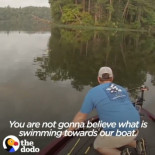 Estos chicos estaban en su barco cuando vieron a los gatitos nadando hacia ellos [ENG]