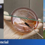 100 millones de euros a Laboratorios Larrasa, ubicada en un pueblo de Badajoz de apenas 2.000 habitantes