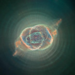 El universo es como un gato: determinismo y teorías físicas