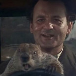 ¿Cuántos días revivió Bill Murray el Día de la marmota? [Eng]