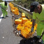 Un camión cargado de cajas de Estrella Galicia pierde la carga en la A-6 cerca de Begonte (Lugo)