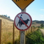 ¿Prohibida la zoofilia?