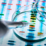 Los artículos científicos falsos (más de 10.000 detectados sólo el año pasado) ponen en crisis la credibilidad de la investigación. (eng)