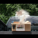 Harto de los ladrones de paquetería en su vecindario diseña una bomba de mierda