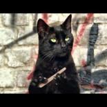 Gatos con pulgares [eng]