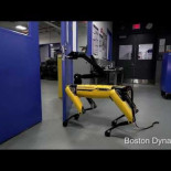 Prueba de robustez del SpotMini de BostonDynamics