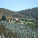 Sentencia de muerte para Galicia