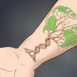 Los microbios de la piel son una huella dactilar permanente