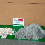 Agentes Medioambientales sorprenden  a dos cazadores usando repelentes prohibidos en el Parque Natural de Guadarrama