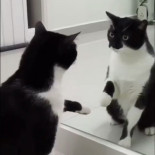 Desde El Sexto Sentido no veía un final tan escalofriante: