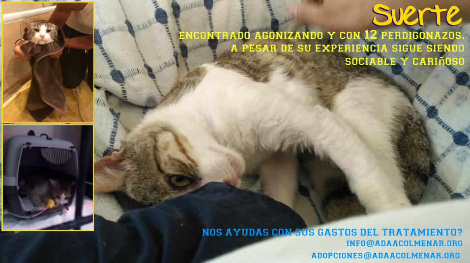 ADOPTAGATETE