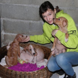 Un donante anónimo de 8.000 euros salva la protectora de Baiona