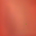 Carta de Cayo Lara a Zapatero exigiendo la expulsión del embajador de Israel