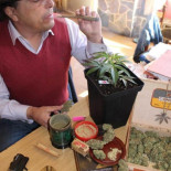 Pide 10.000 euros a Interior por retirarle el cannabis que utiliza para paliar el dolor