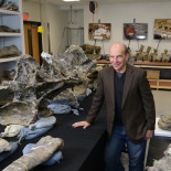 Dreadnoughtus: un gigantesco dinosaurio saurópodo. Encontrado su esqueleto excepcionalmente completo