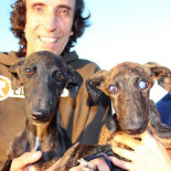 Un galgo abandonado protege y guía a su hermana ciega hasta que son rescatados