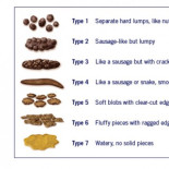 ¿Qué dicen las heces sobre nuestra salud?