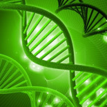 Microsoft tras el almacenamiento en ADN: mil millones de TB en un gramo