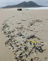 Ecoloxistas en Acción presenta querela contra a navieira propietaria do buque que provocou o vertido de pellets