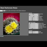Ejecutando código nativo del sistema en una página web