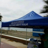 Adivinad por qué el ayuntamiento del Rincón de la Victoria ha colocado estas carpas y luego las ha tenido que retirar