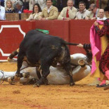 Un caballo destripado, eso es cultura