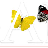 Homenaje: Gabriel García Márquez