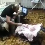 Madre gatuna defiende a sus gatitos