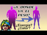 ¿Cómo sale del cuerpo el peso que pierdes?